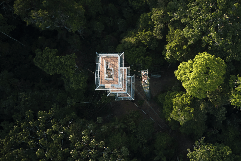 Torre de Observación Posada Amazonas