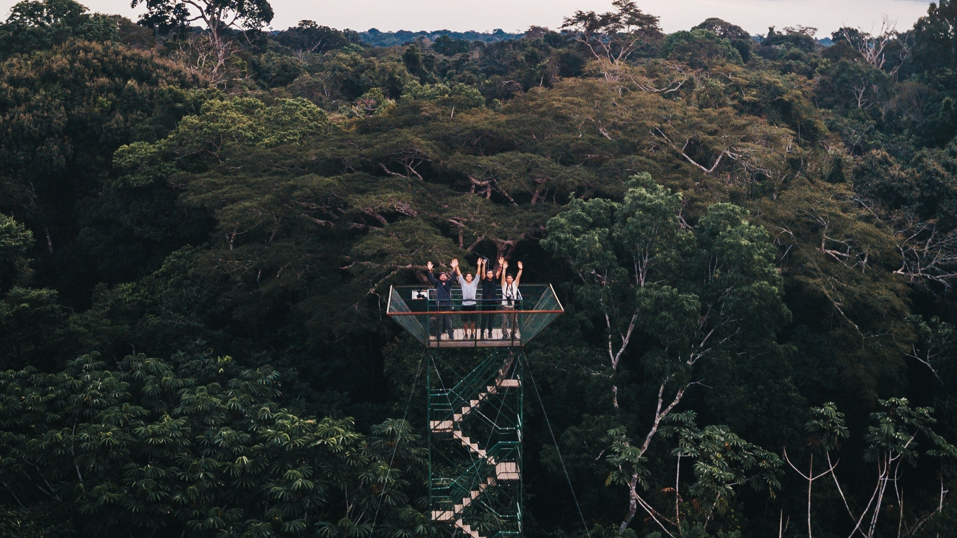 Torre de Observación Refugio Amazonas