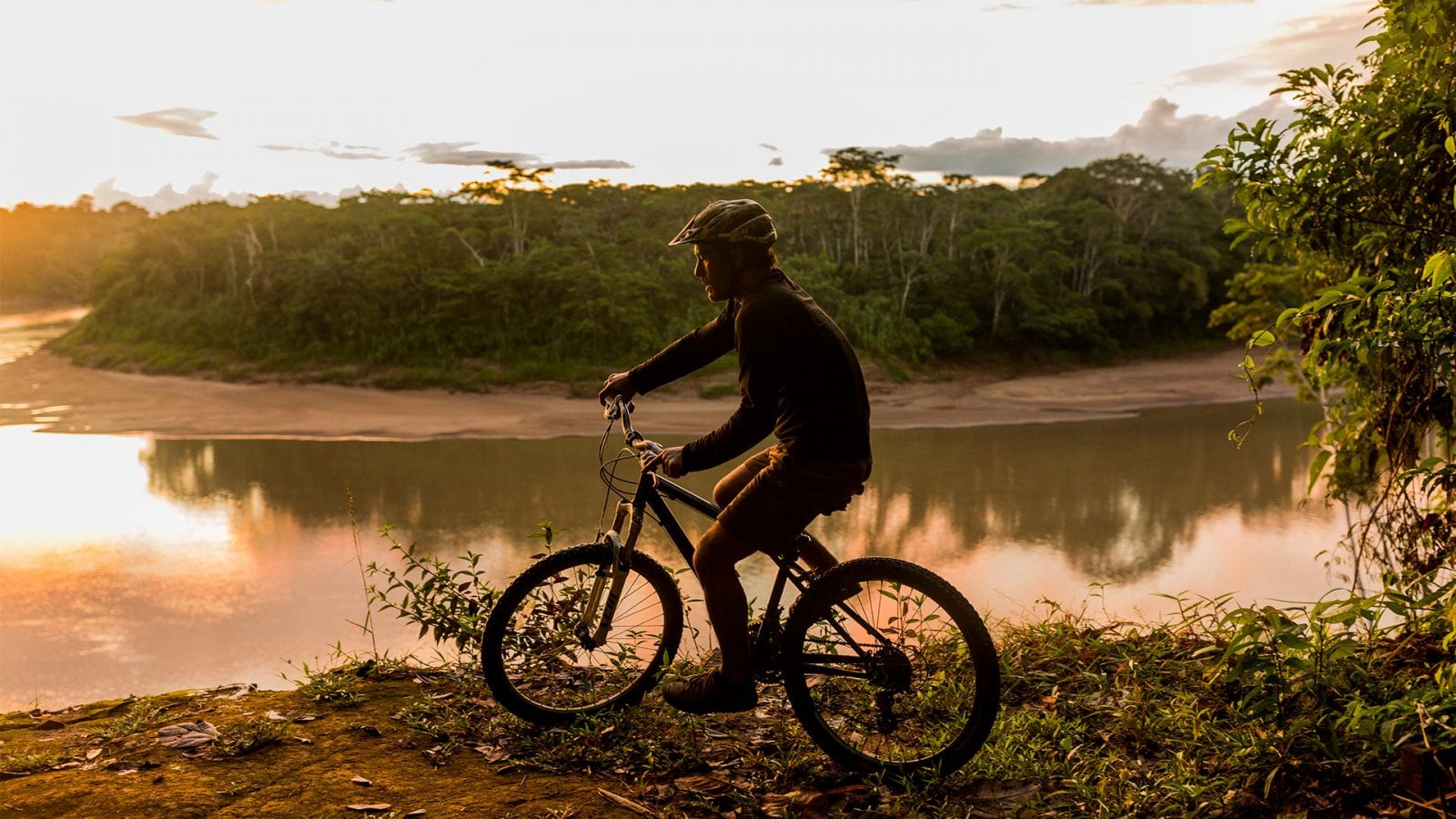 Bicicleta de montaña con mochila de pie cerca de un árbol en la jungla ia  generativa