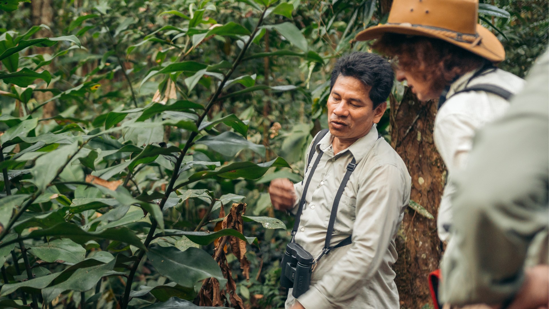 Centro Etnobotánico Ñape en Posada Amazonas por Carlos Gonzales