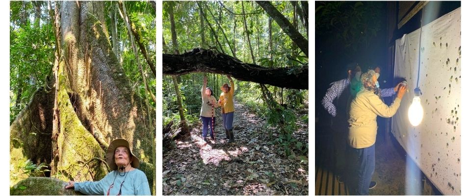 Huéspedes explorando la Amazonia Peruana en Tambopata 